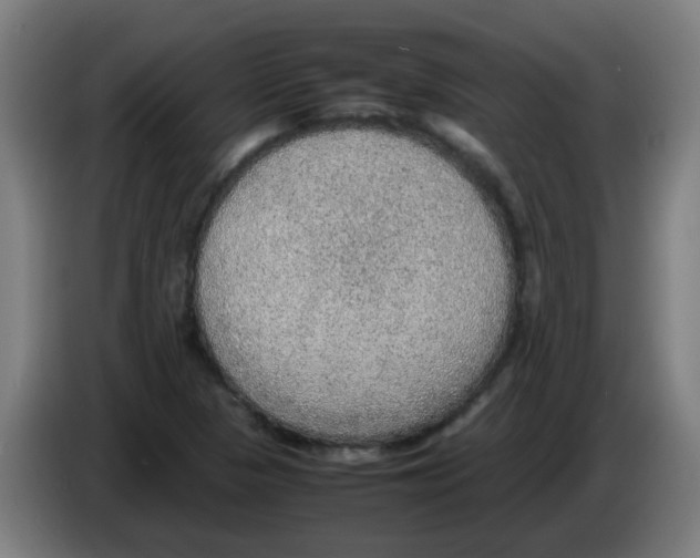 X0000086231313200704261848