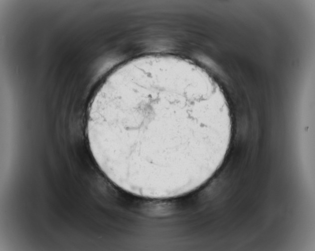 X0000086231314200704261848