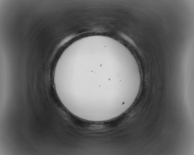 X0000086231315200704261848