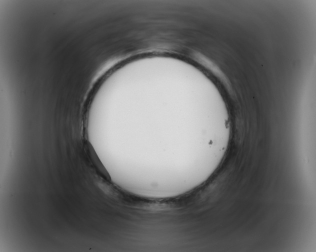 X0000086231316200704261848