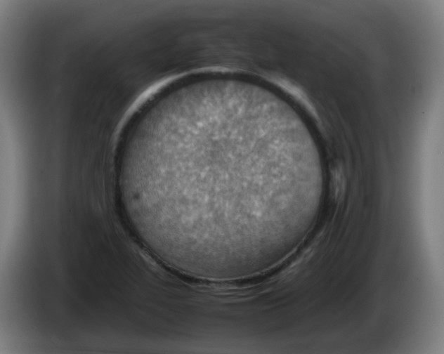 X0000086231319200704261848