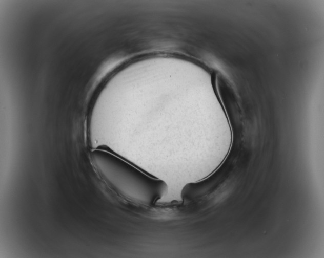 X0000086231320200704261848