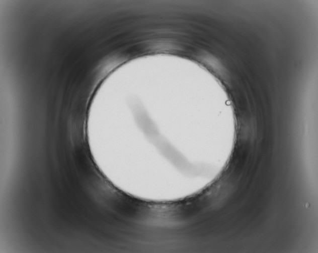 X0000086231322200704261848