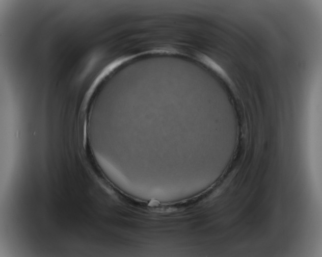 X0000086231323200704261848