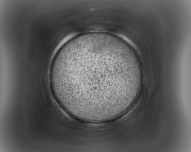 X0000086231325200704261848