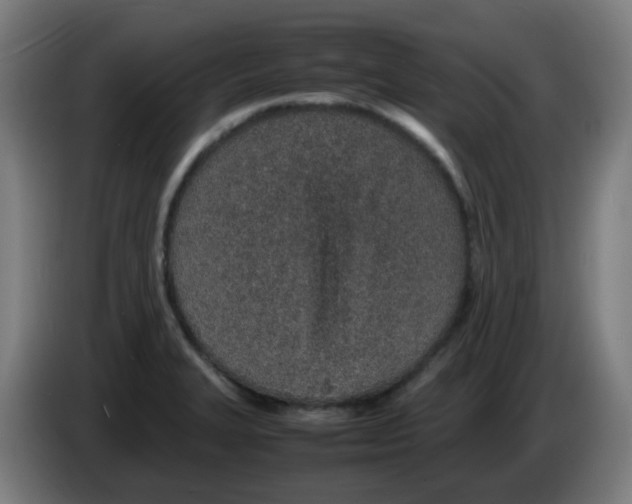 X0000086231327200704261848