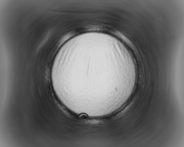 X0000086231329200704261848