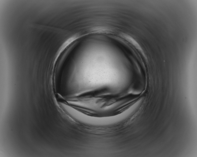 X0000086231330200704261848