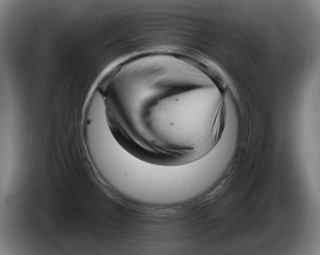 X0000086231332200704261848