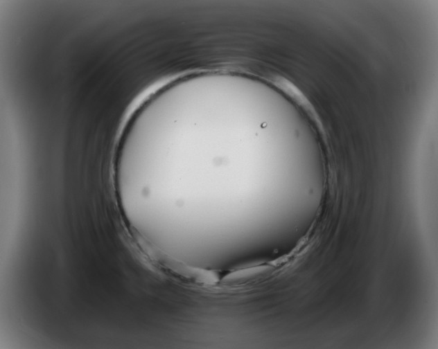 X0000086231336200704261848