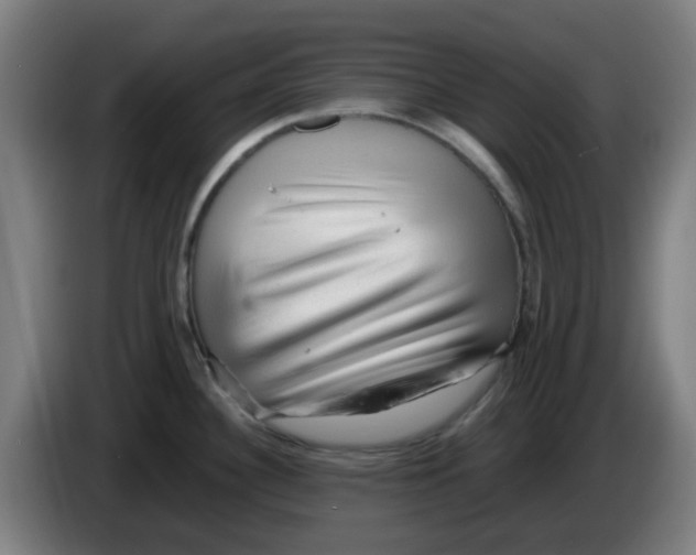 X0000086231340200704261849