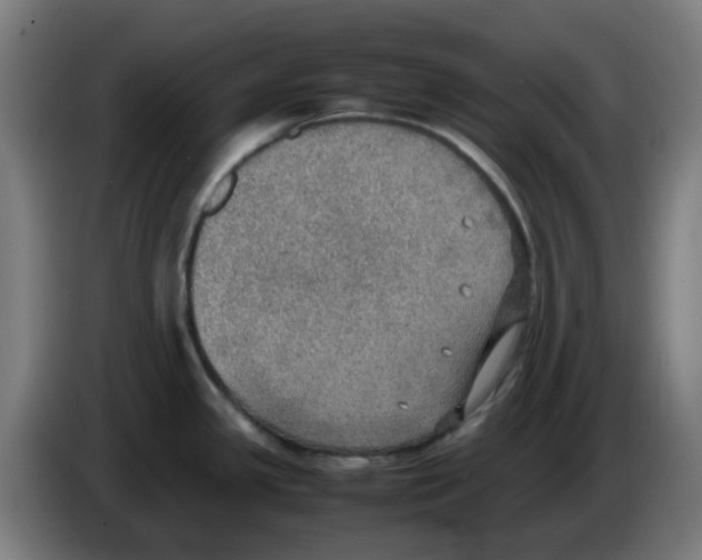 X0000086231341200704261849