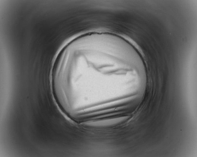 X0000086231343200704261849