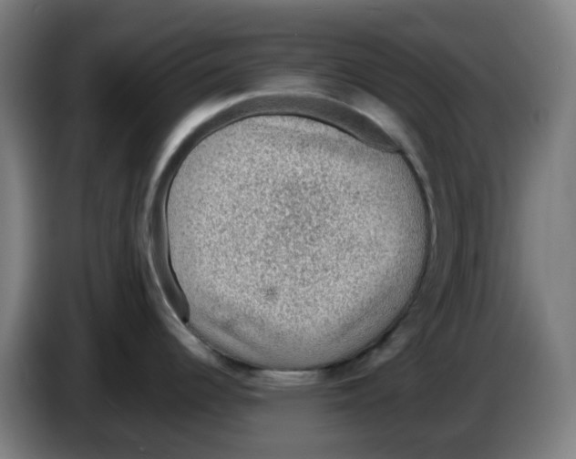 X0000086231344200704261849