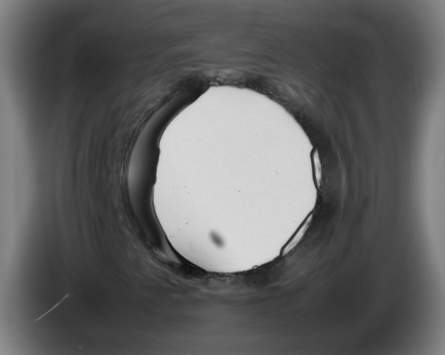 X0000086231345200704261848