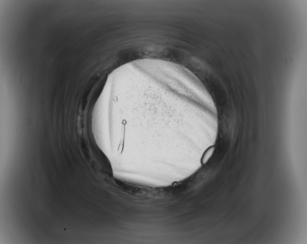 X0000086231346200704261848