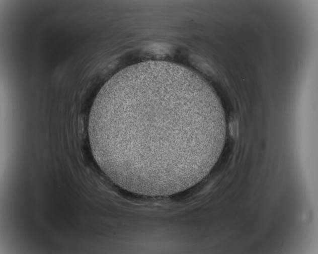 X0000086231347200704261848