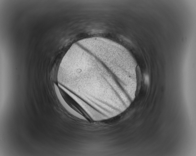 X0000086231348200704261848