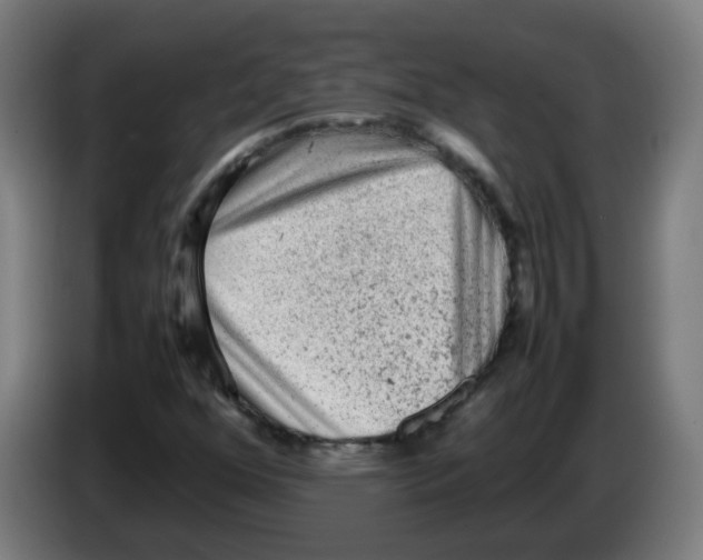 X0000086231352200704261848