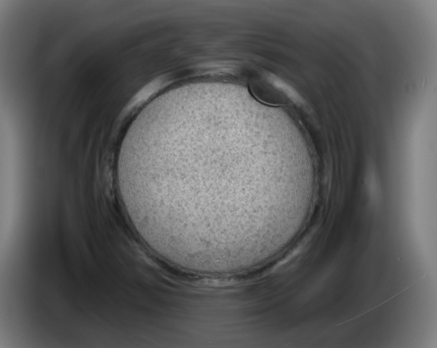 X0000086231354200704261848