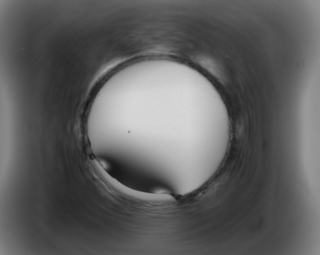 X0000086231356200704261848