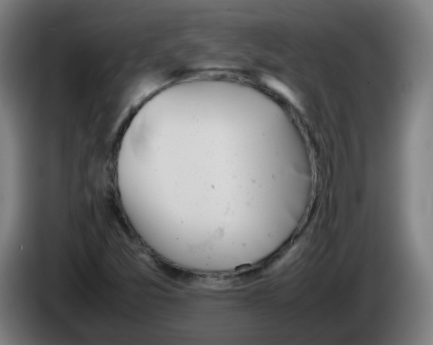 X0000086231357200704261848