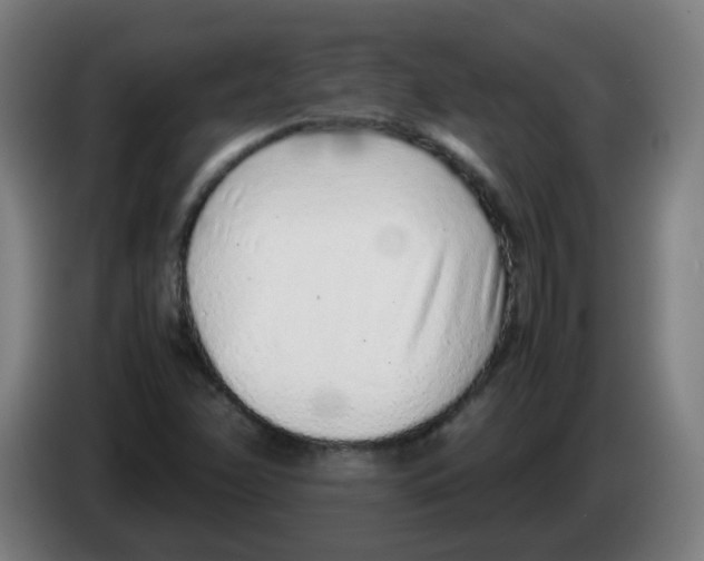 X0000086231358200704261848