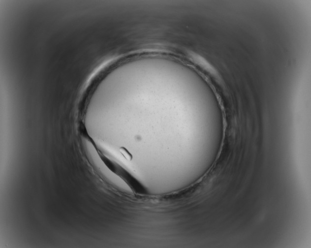 X0000086231360200704261848