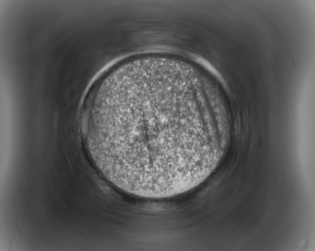 X0000086231364200704261848