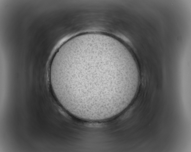 X0000086231366200704261848