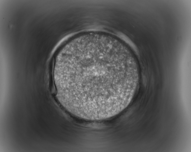 X0000086231368200704261848