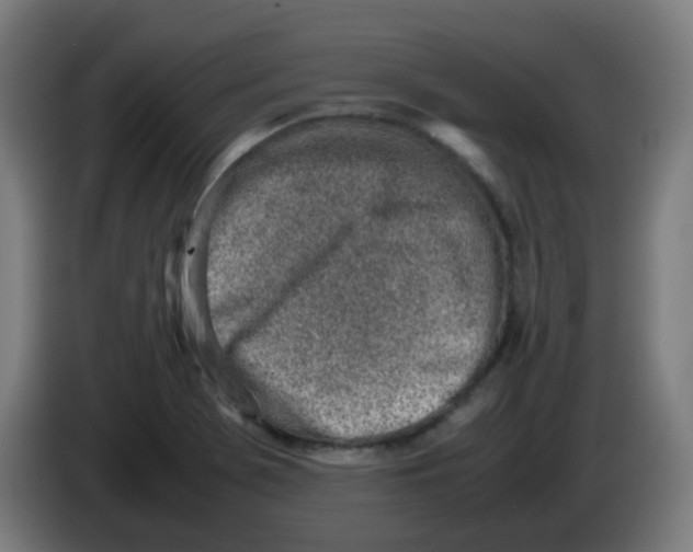 X0000086231369200704261848