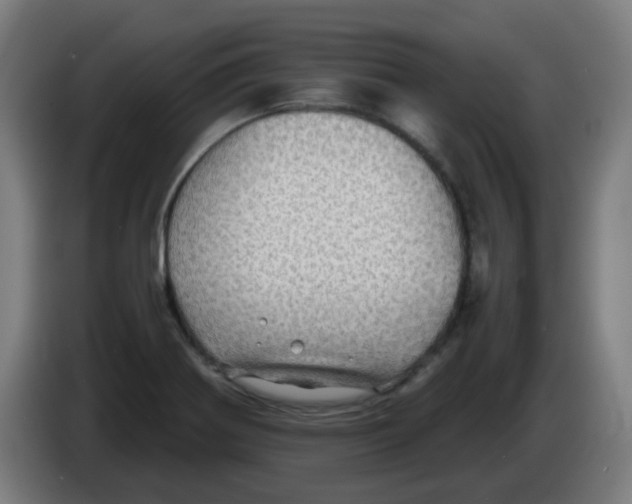 X0000086231370200704261848