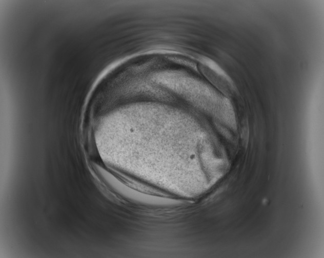 X0000086231372200704261848