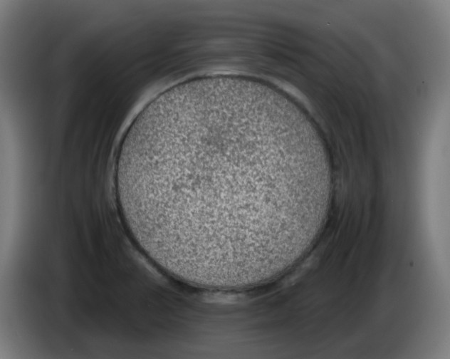 X0000086231374200704261848