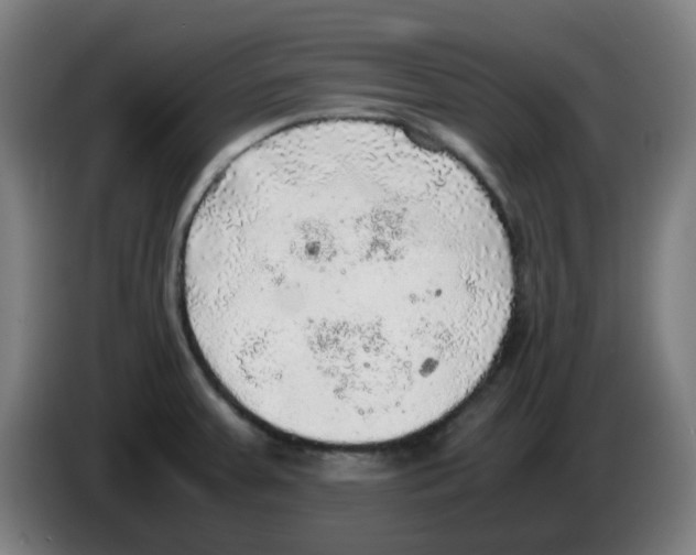 X0000086231379200704261848