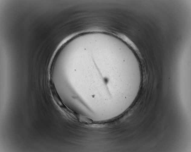 X0000086231380200704261847