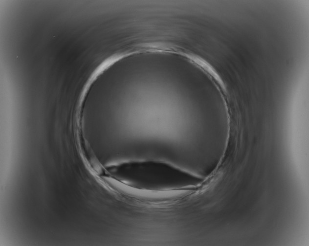 X0000086231381200704261847