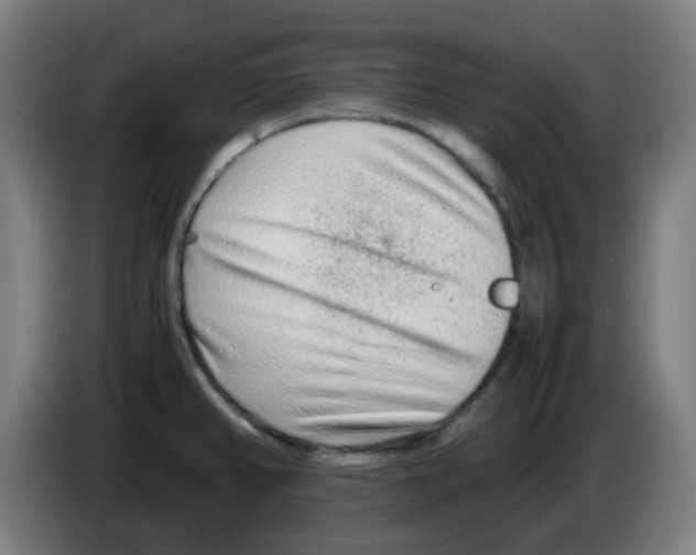 X0000086231382200704261847