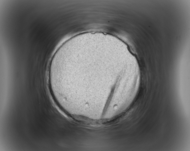 X0000086231383200704261847