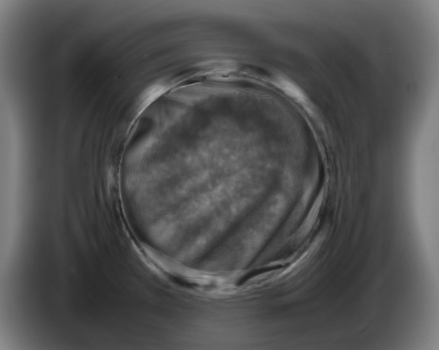 X0000086231385200704261847