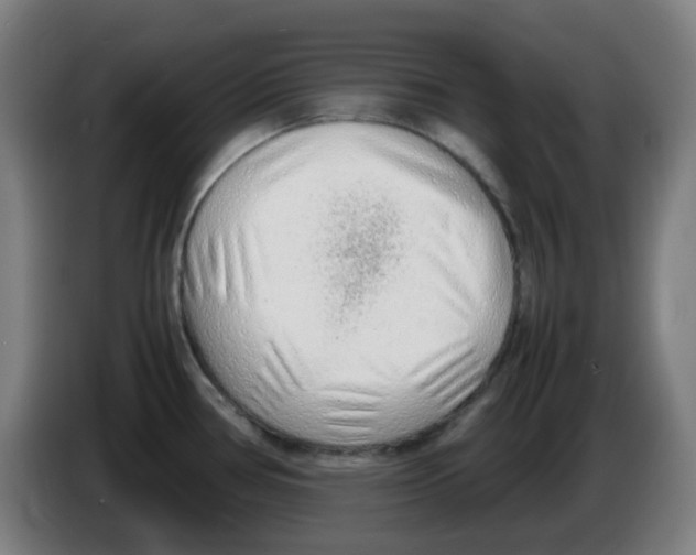 X0000086231386200704261847