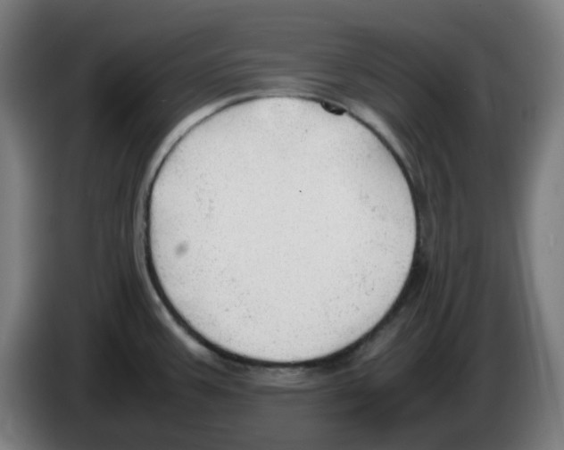 X0000086231387200704261847