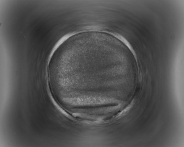 X0000086231389200704261847