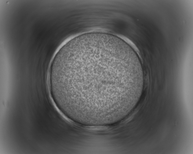 X0000086231391200704261847