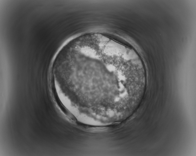 X0000086231392200704261847