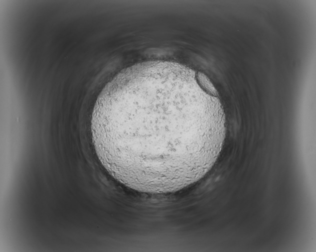 X0000086231393200704261847