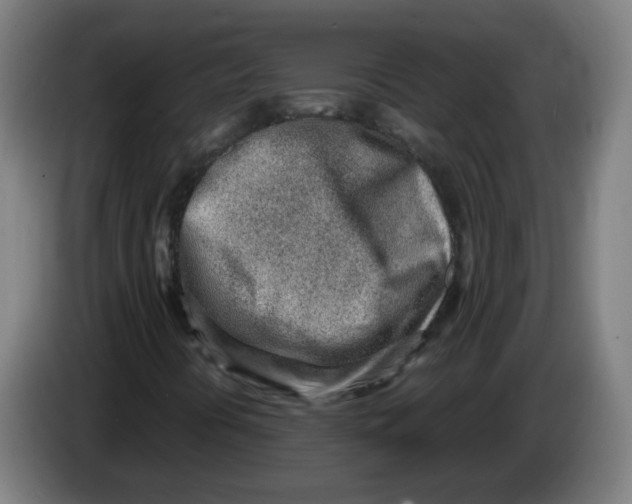 X0000086231394200704261847