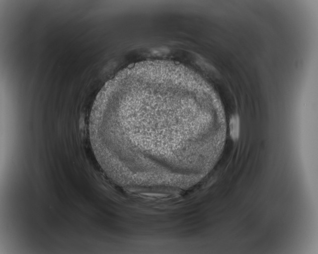 X0000086231395200704261847