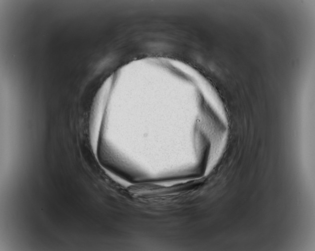 X0000086231399200704261847